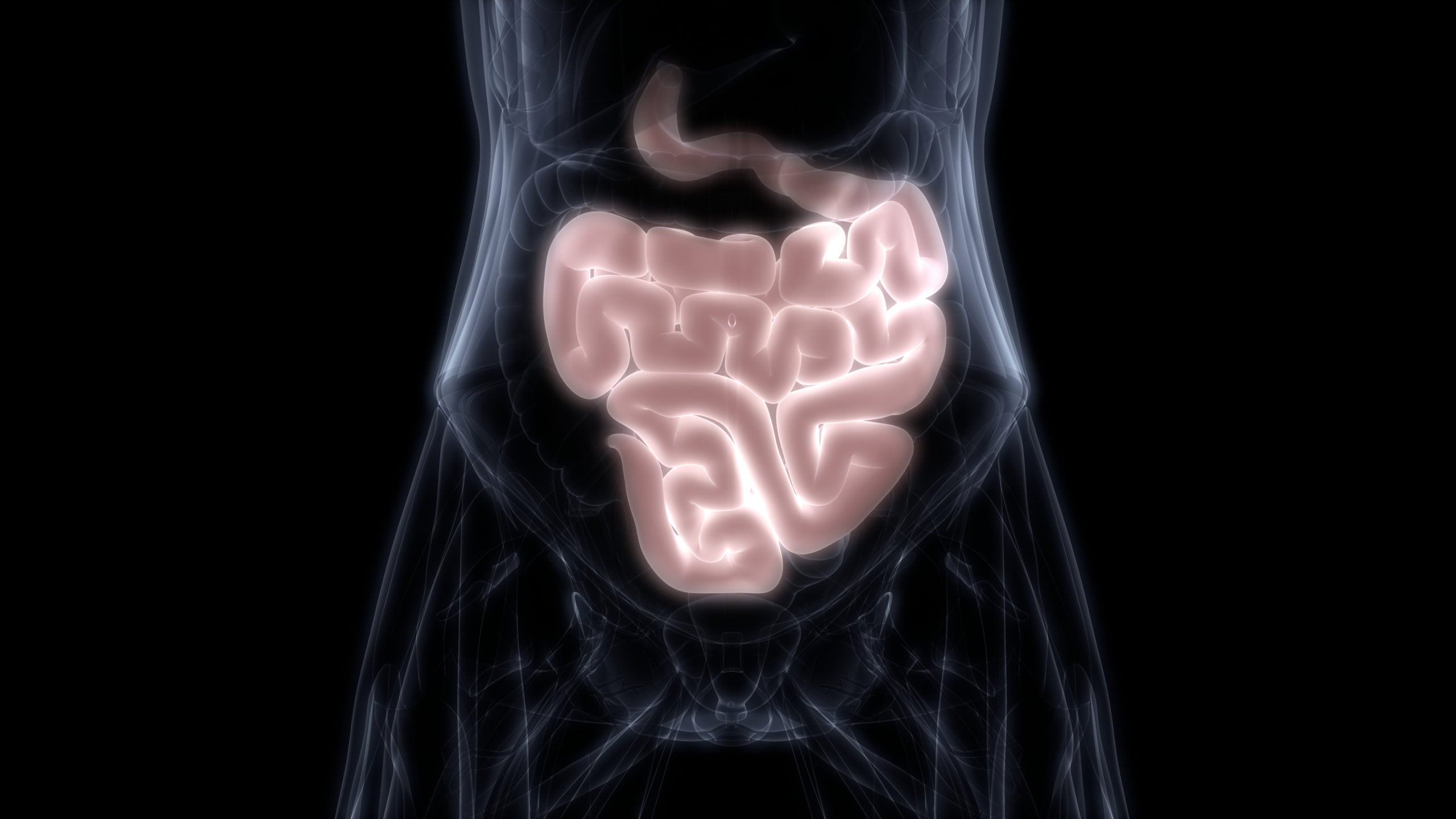 Easy Steps To Improve Your Gut Health.